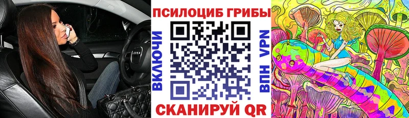 Псилоцибиновые грибы Psilocybine cubensis Саров